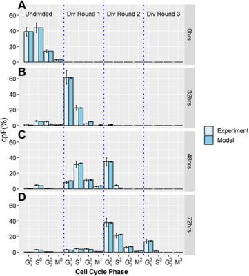 Data Driven Cell Cycle Model to Quantify the Efficacy of Cancer Therapeutics Targeting Specific Cell-Cycle Phases From Flow Cytometry Results